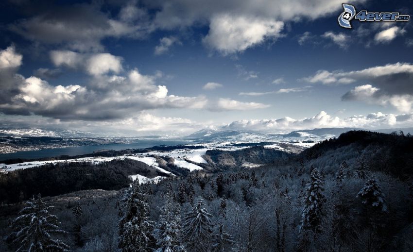 snowy mountains, coniferous trees, clouds, view of the landscape