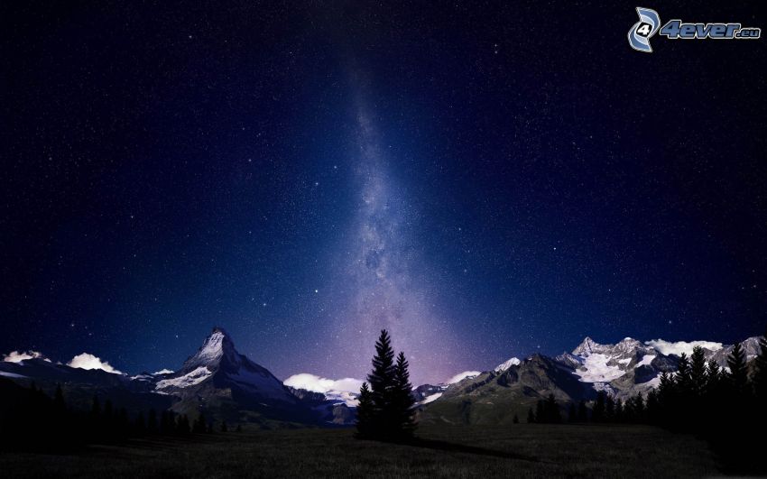 snowy mountains, coniferous trees, night, starry sky