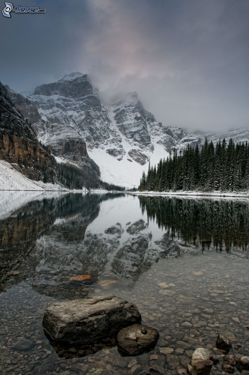 snowy mountains, mountains in the clouds, lake, coniferous forest