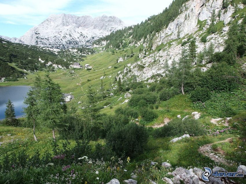 Totes Gebirge, meadow, lake, rocky mountains