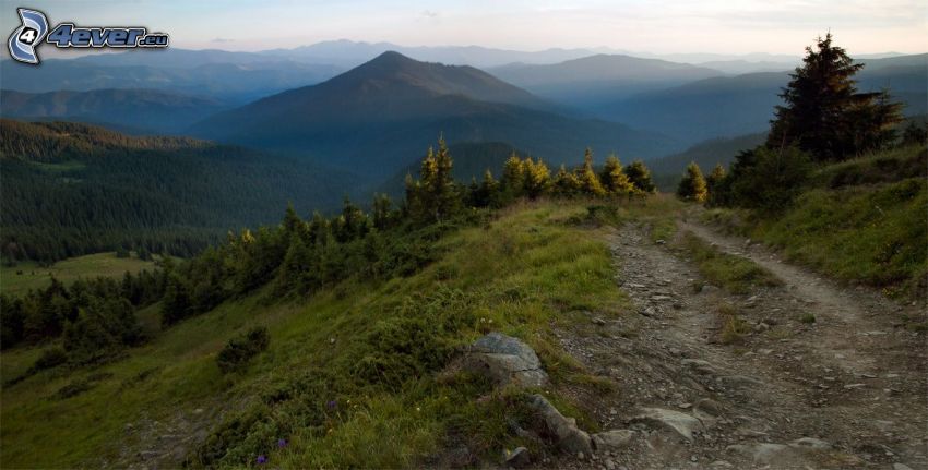 trail, hills, greenery