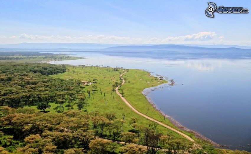 Nakuru, lake, sidewalk, forest