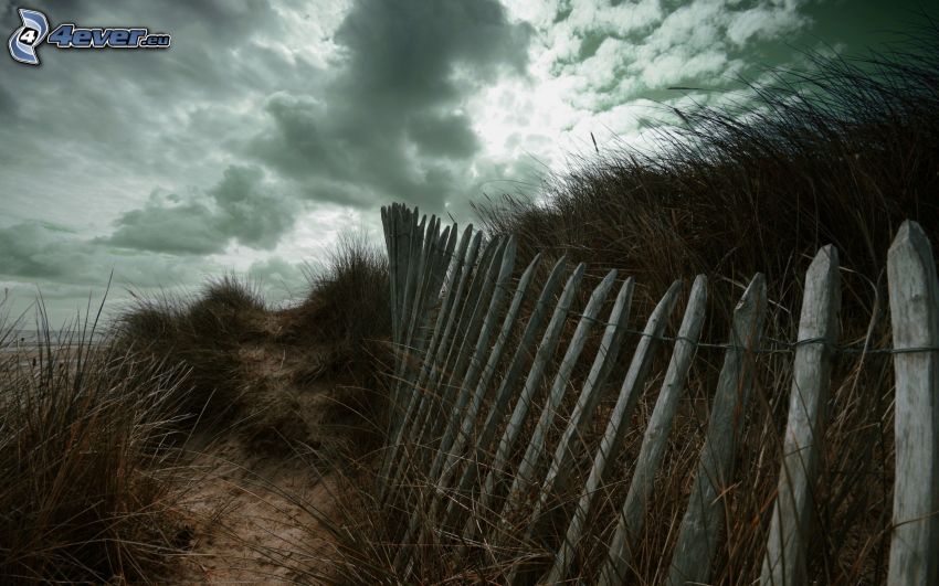 old wooden fence, high grass, clouds