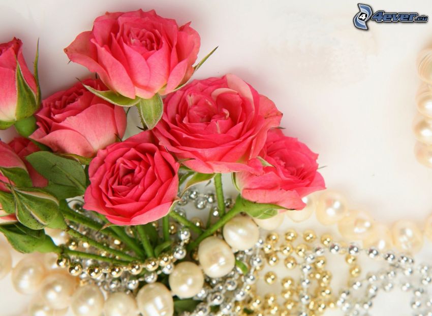 bouquet of roses, pearls