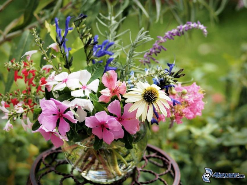 bouquets, field flowers in a vase