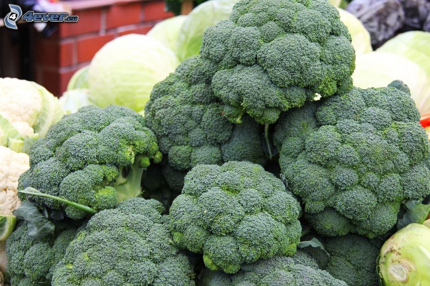 broccoli, cabbage