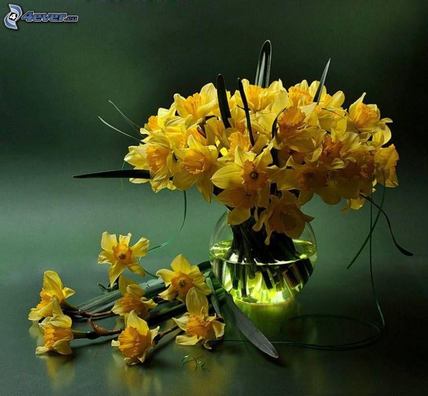daffodils, vase