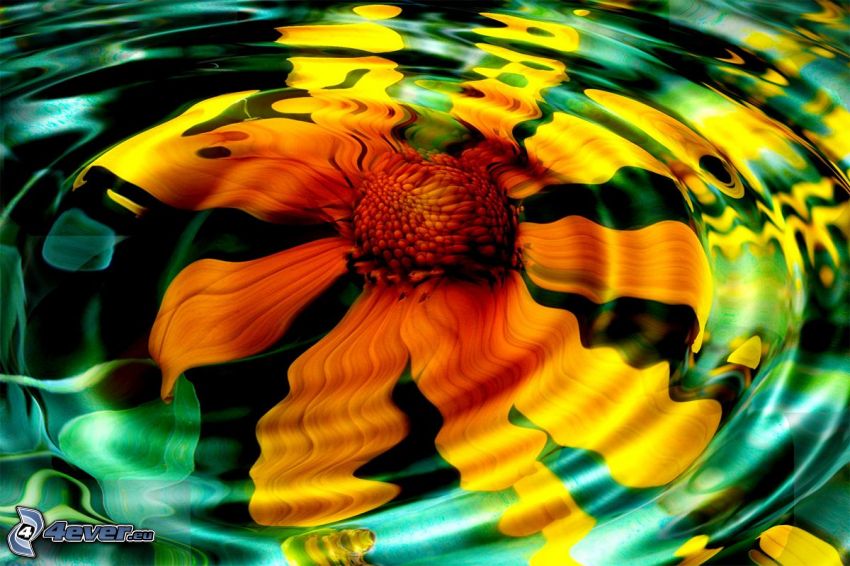flower in water, reflection
