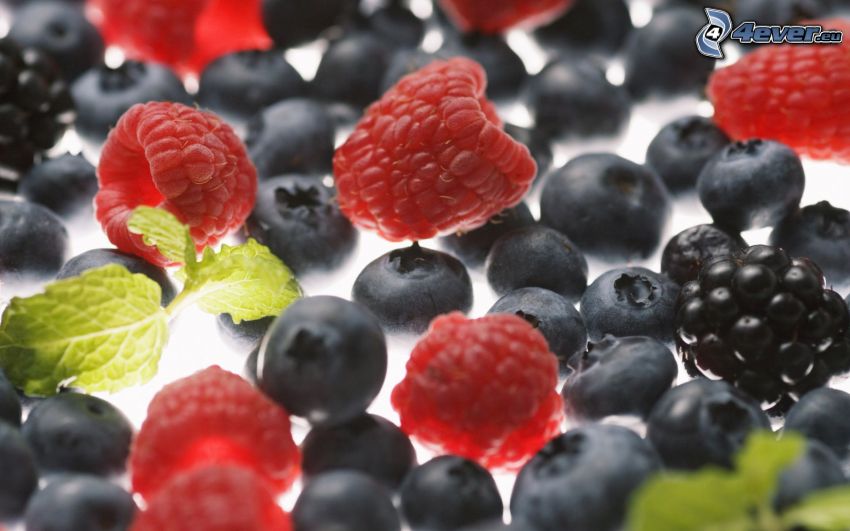 berries, raspberries, blackberries, blueberries