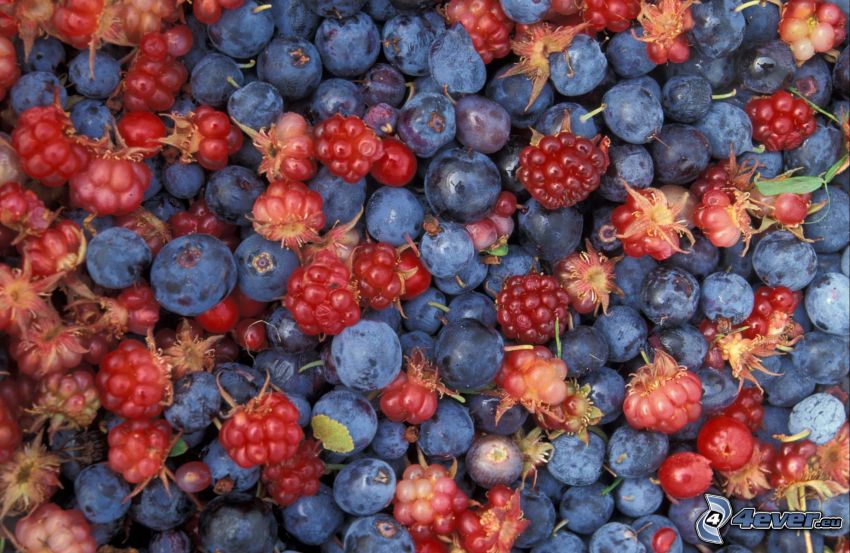 berries, raspberries, blueberries