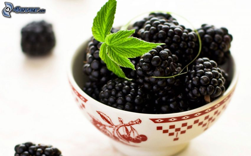 blackberries, bowl