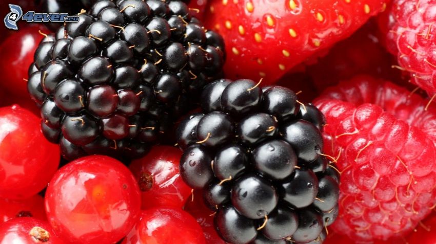 blackberries, raspberries, redcurrants