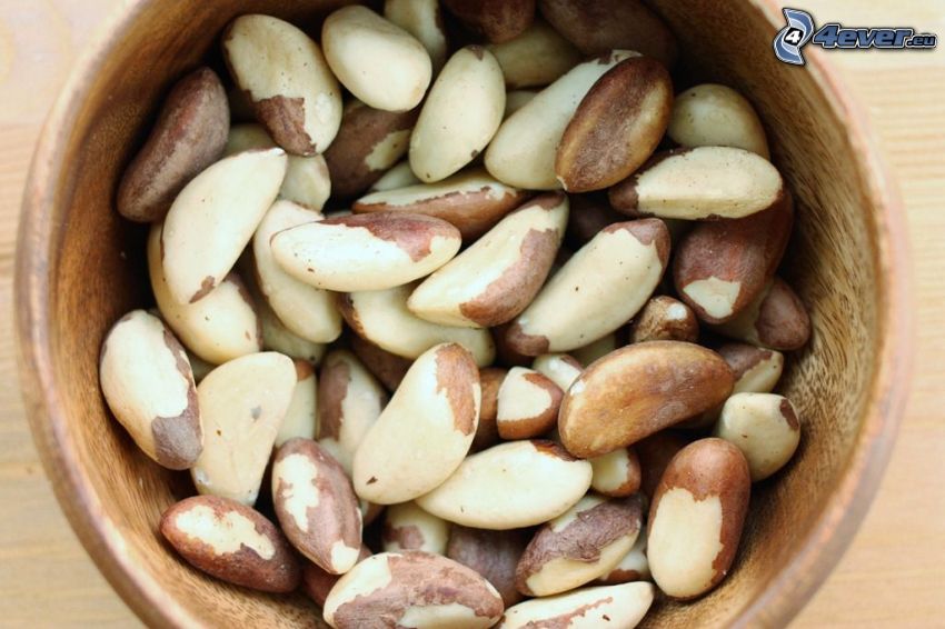 brazil nuts, bowl