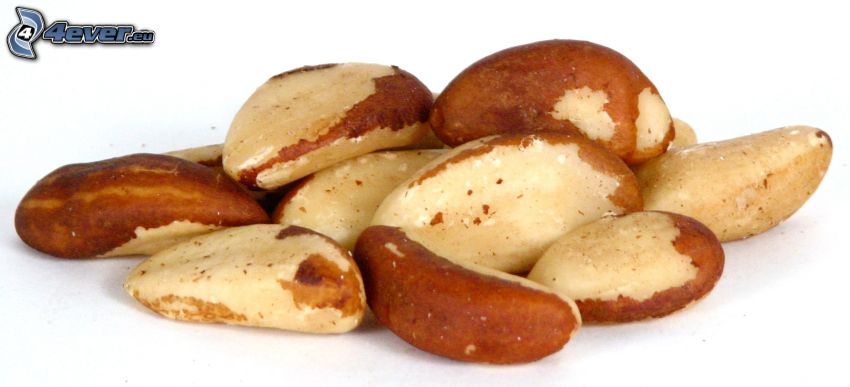 brazil nuts