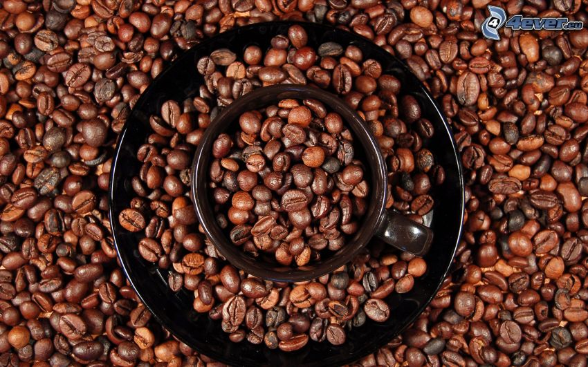 coffee beans, cup