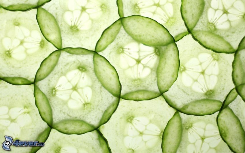 cucumbers circles