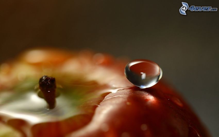 drop of water, apple