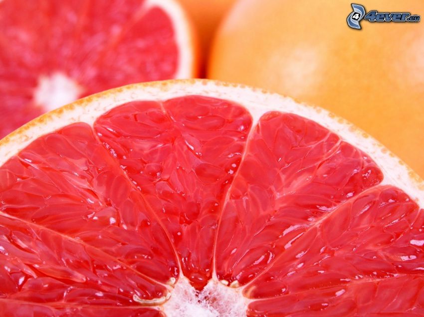 grapefruit, macro