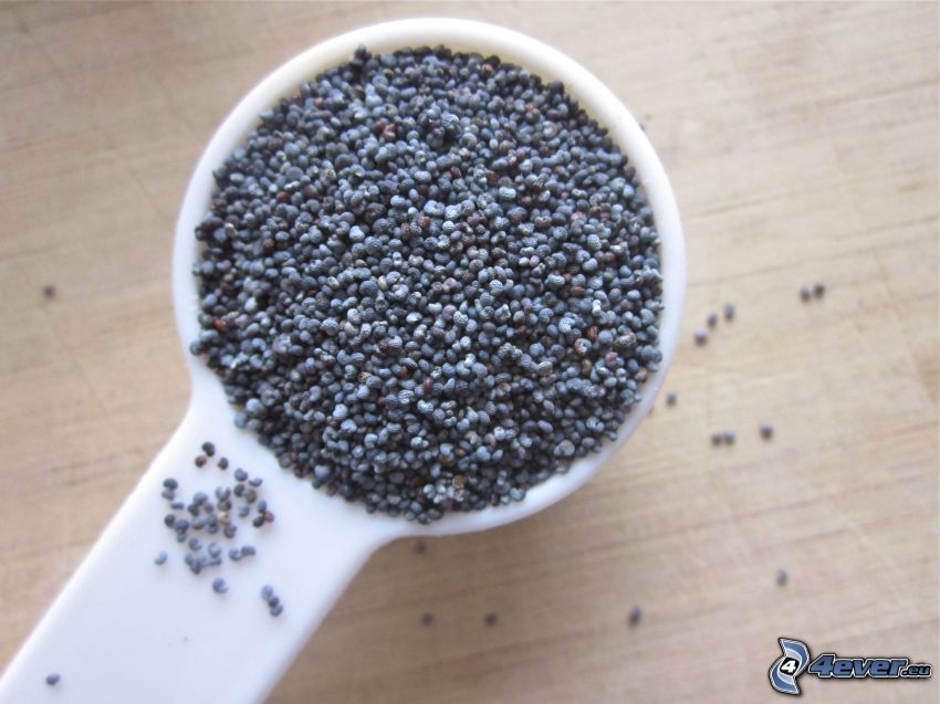 poppy seed, spoon