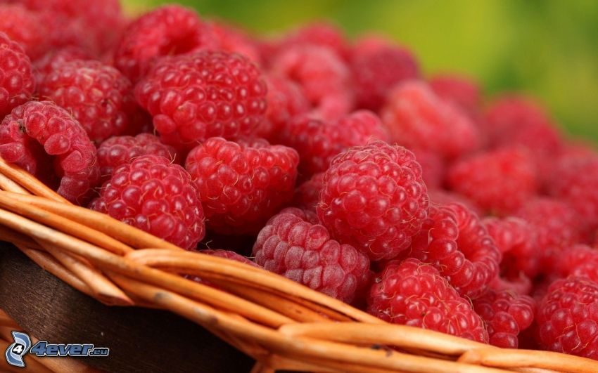 raspberries, basket
