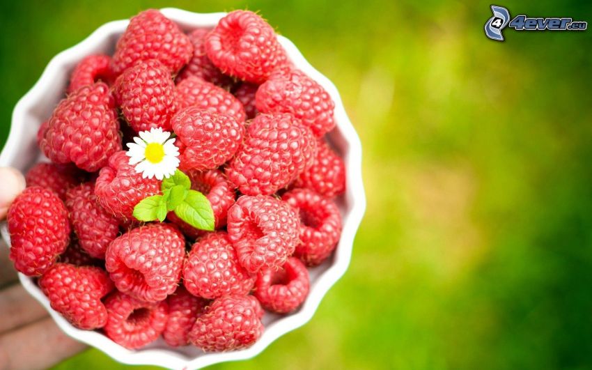 raspberries, bowl