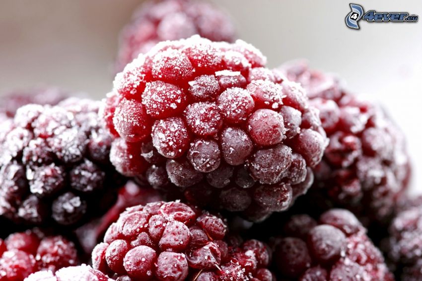 raspberries, frost