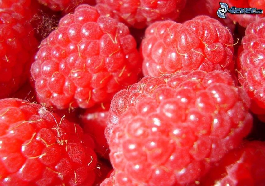 raspberries, fruit, food