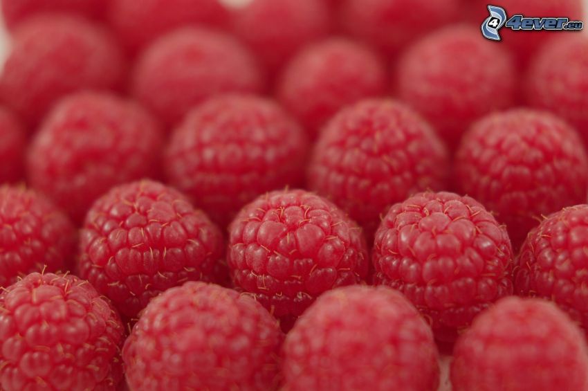 raspberries, macro