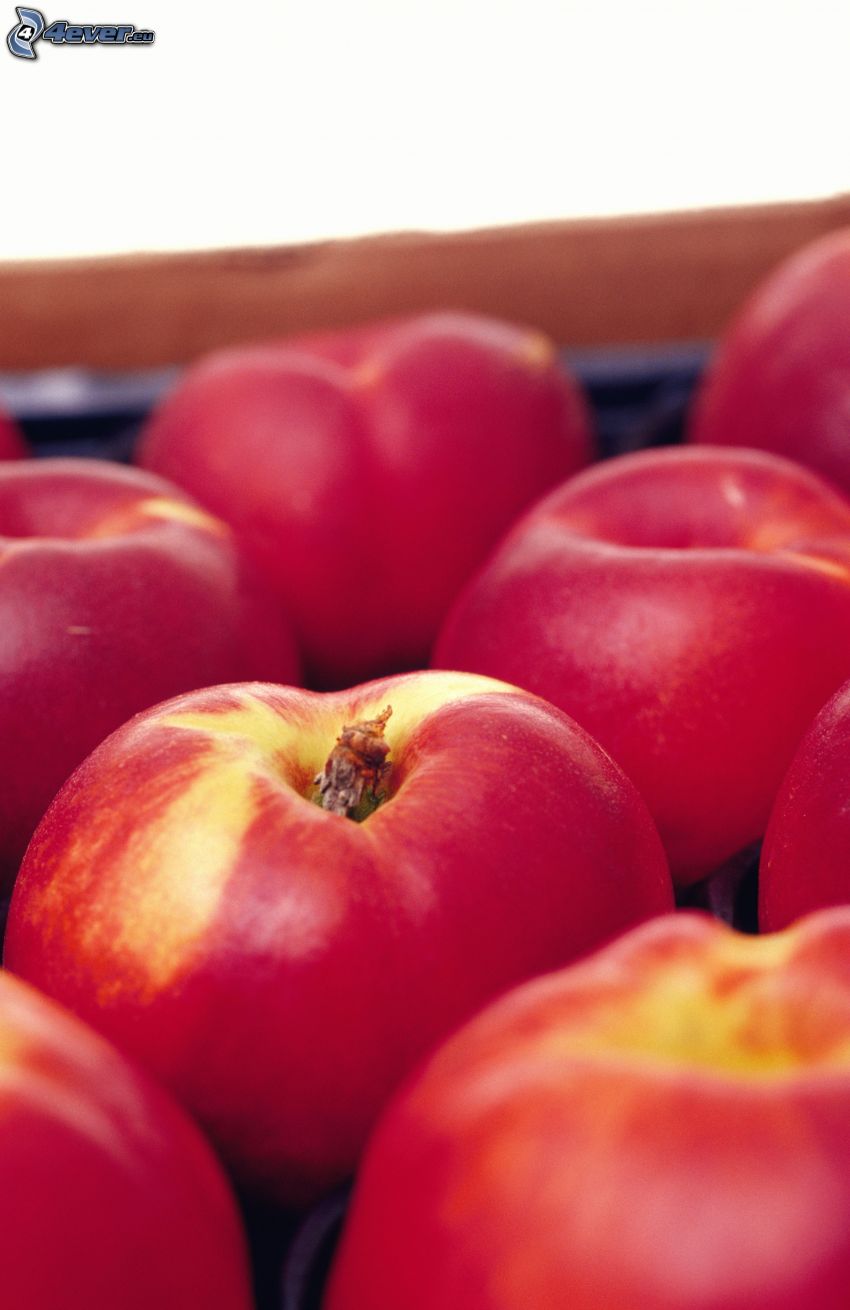 Red apples in box
