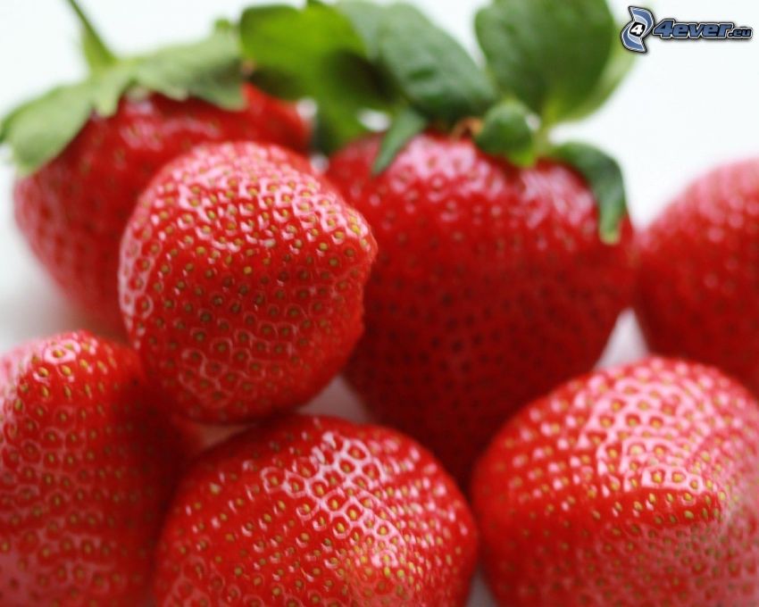 strawberries, macro