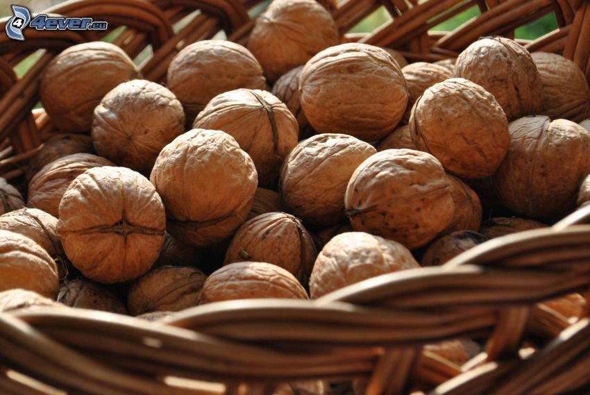 walnuts, basket