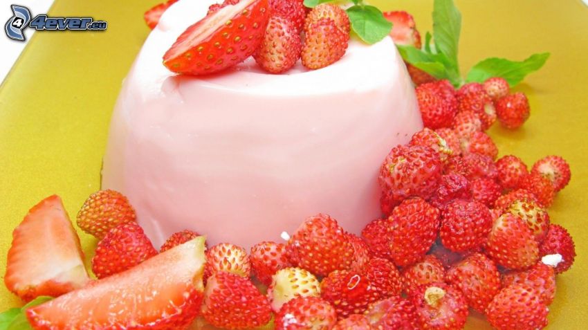 wild strawberries, strawberry, pudding