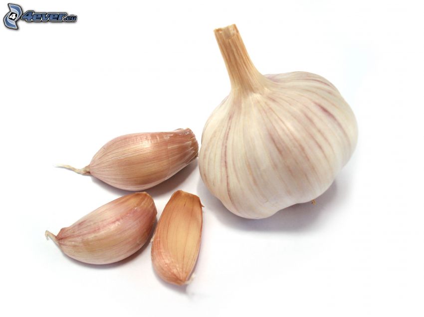 garlic, garlic cloves