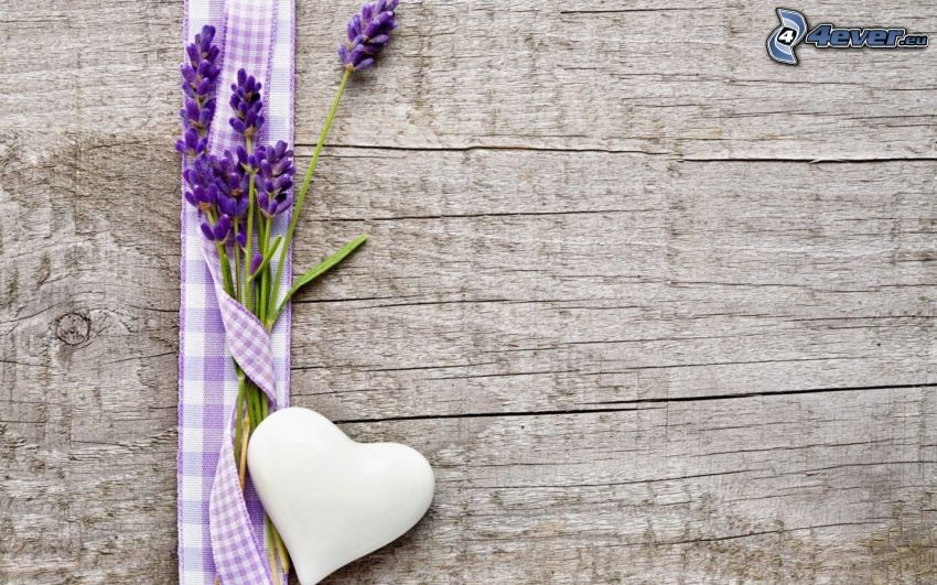 lavender, heart, wooden wall
