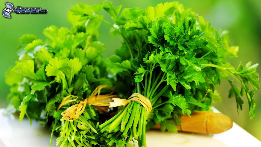 parsley