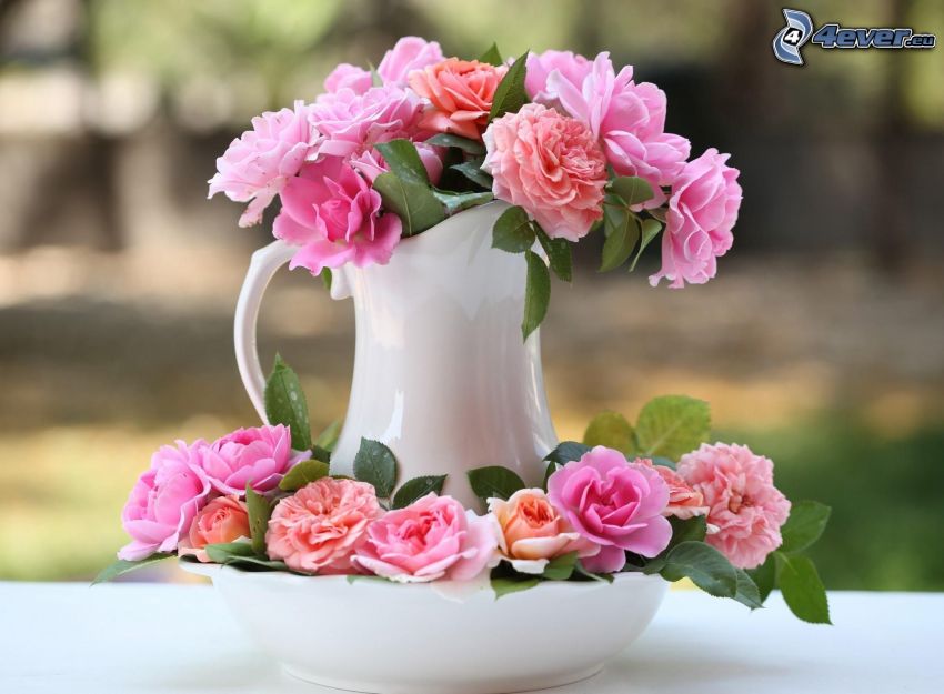 pink flowers, flowers in a vase