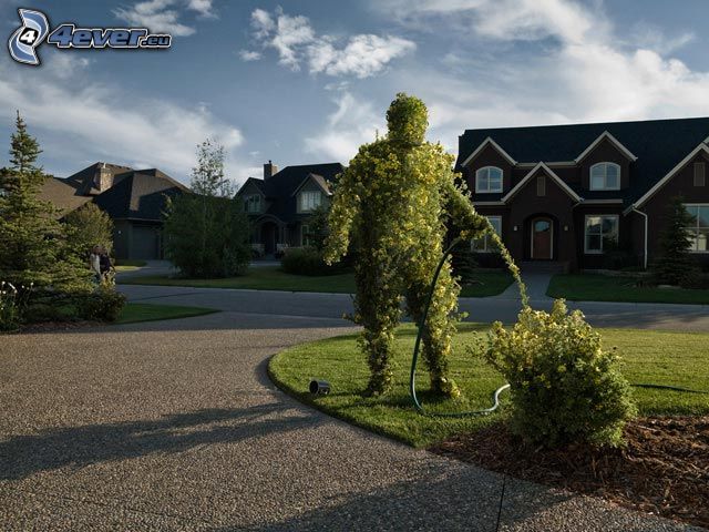 statue of hedge, houses