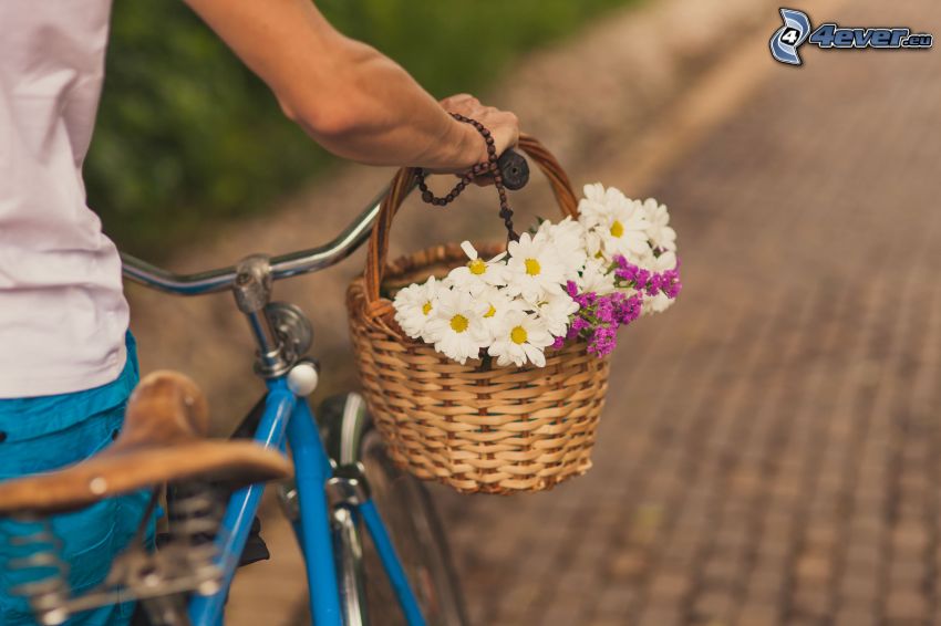 white flowers, basket, bicycle, cyclist