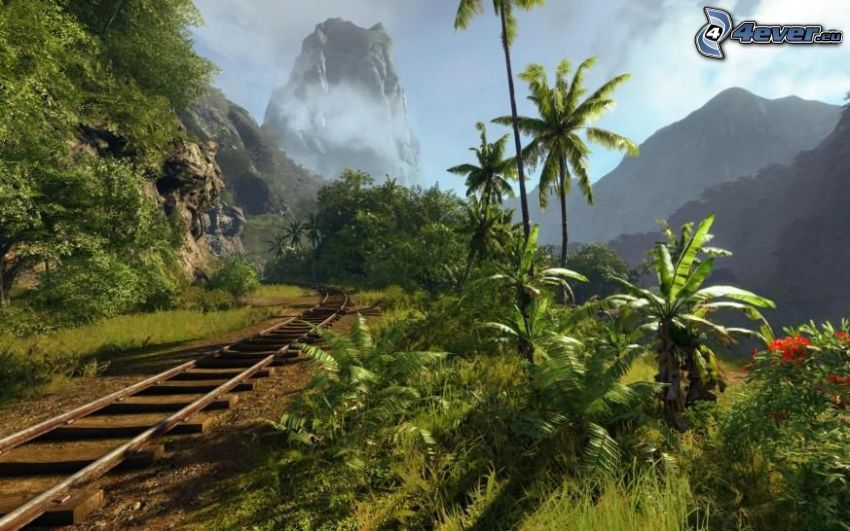 rails, palm trees, rocky mountain