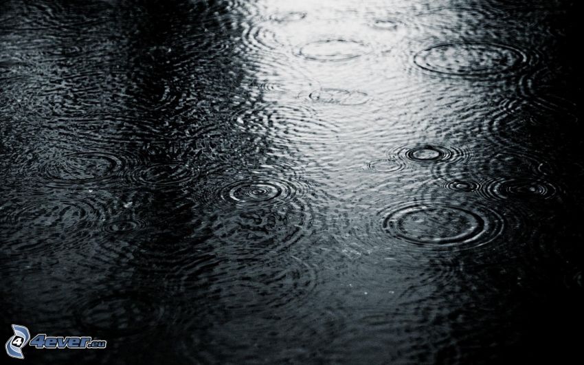 rain, circle on water