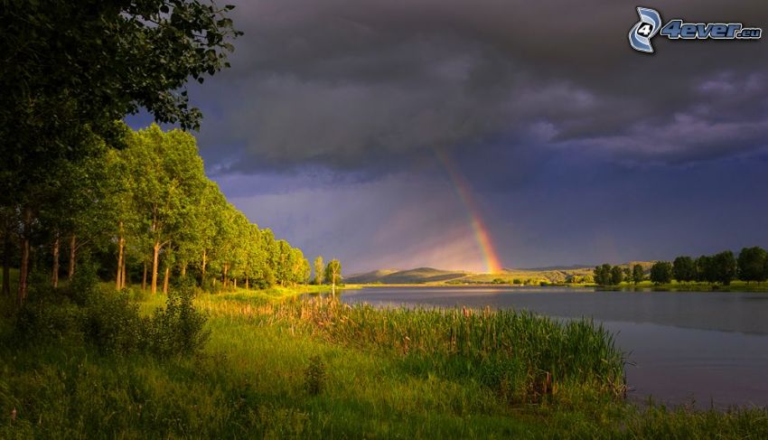 rainbow, lake, greenery