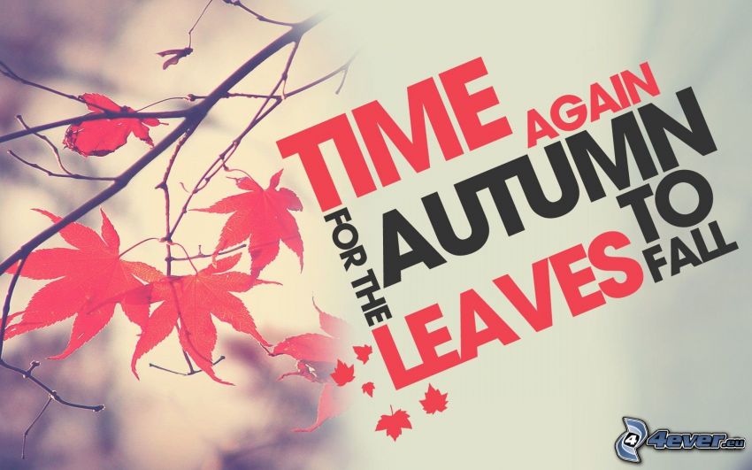red leaves, text