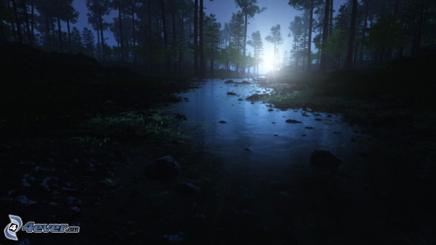 River, forest, moon, night