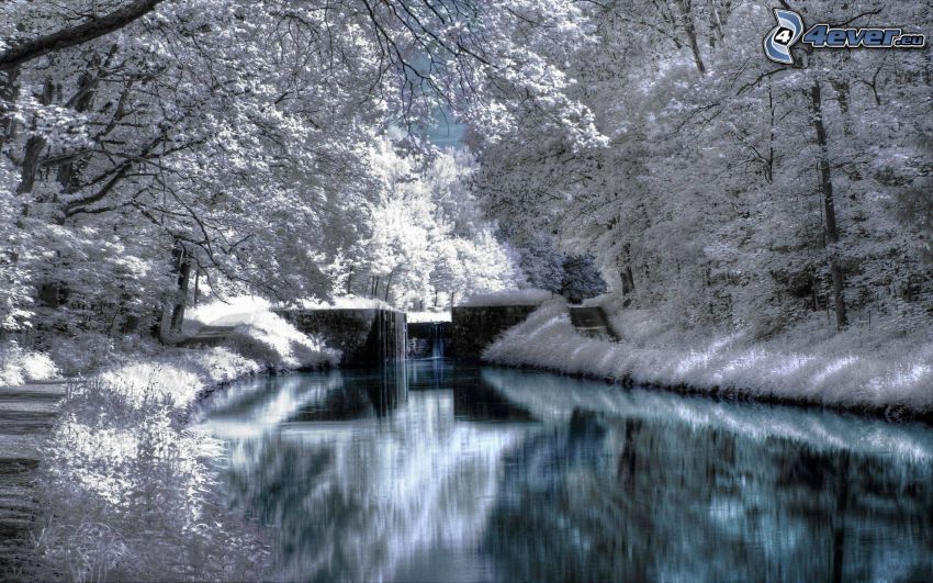 River, snowy trees