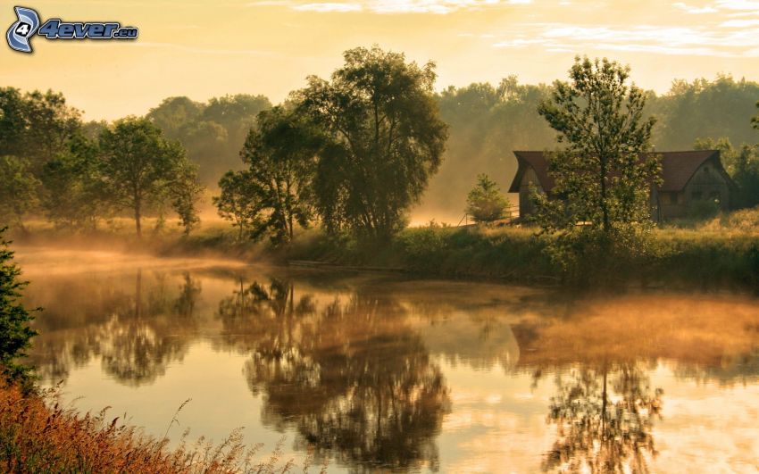 River, trees, reflection, cottage, ground fog