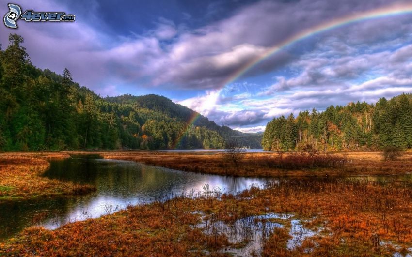river in woods, rainbow, clouds