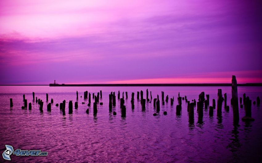 sea, purple sky, pillars