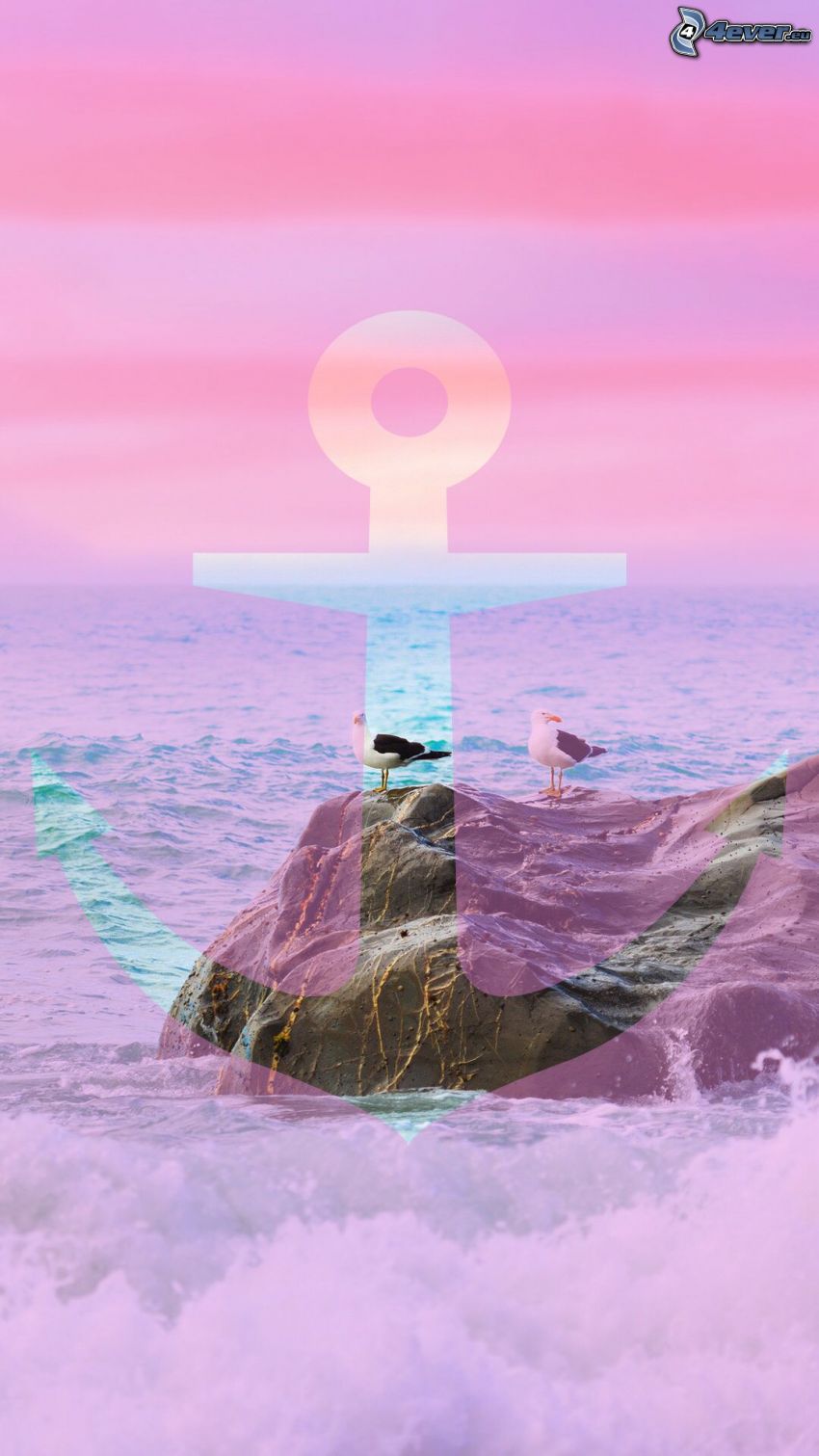 anchor, rock, gulls, purple sky