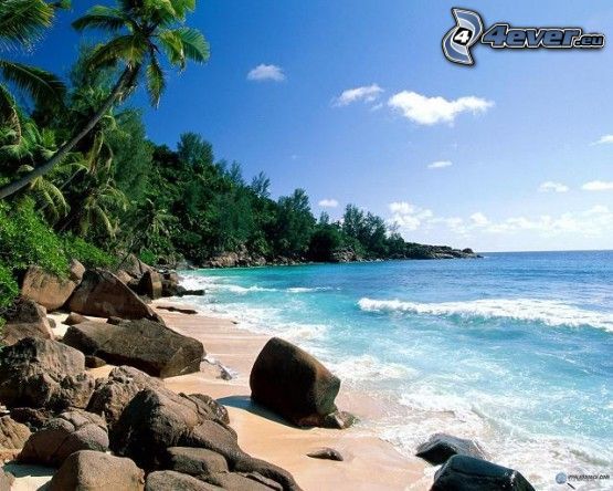 beach, sea, landscape, rocks, palm trees, waves on the shore, sky