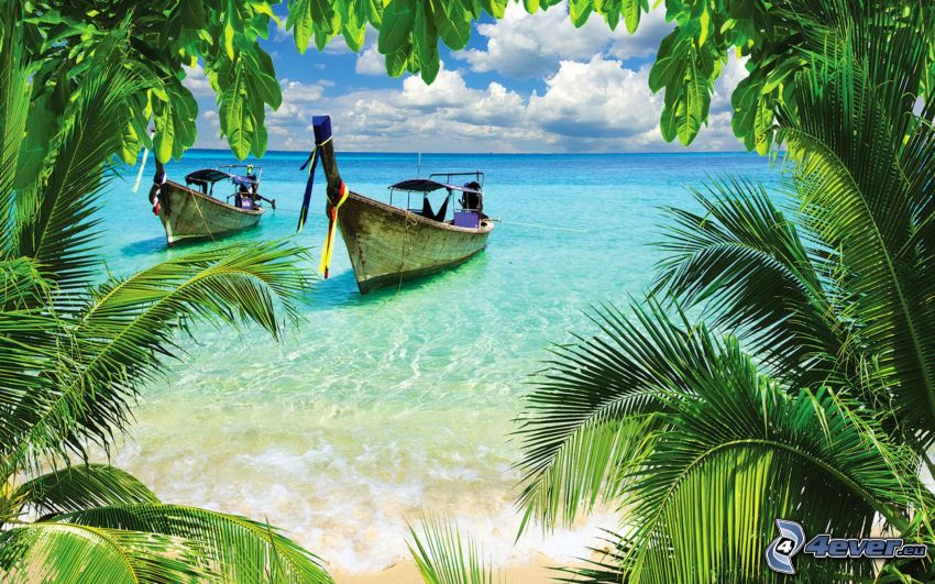 boat at sea, palm trees, open sea